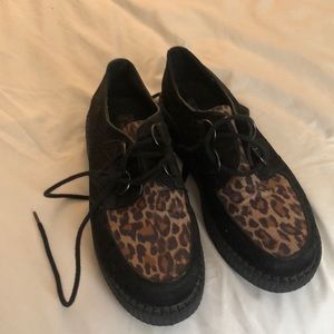 Leopard creepers